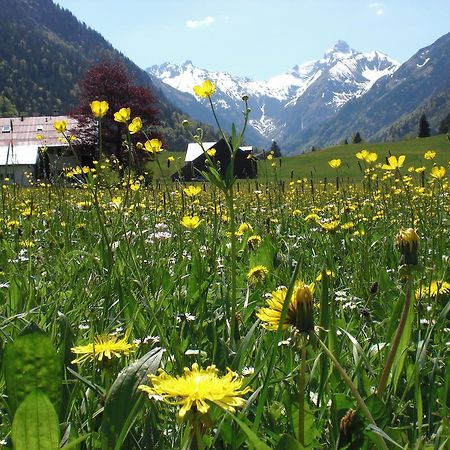 Haus Stein Lejlighed Oberstdorf Eksteriør billede